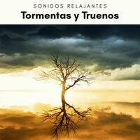 Tormentas y la Lluvia con Pajaritos Cantando en el Bosque pt. 5 - Academia de Música con Sonidos de la Naturaleza & Sonidos De Truenos y Lluvia & Sonidos De Lluvia y Tormentas