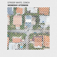 Wednesday Afternoon - Strider White & Conch