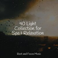 Riverside Camping - Study Music & Study Music & Sounds & Soothing Chill Out For Insomnia