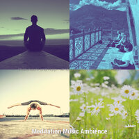Cultured Moods for Meditation Therapy - Meditation Music Ambience