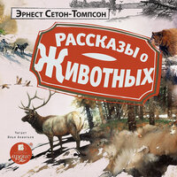 Эрнест Сетон-Томпсон. «Рассказы о животных». Часть 94 - Илья Акинтьев