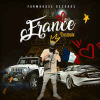 France - Digidan
