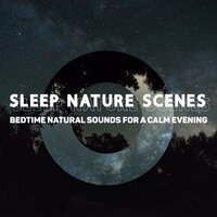 Feeling Good - Sleep Cycles Music Collective