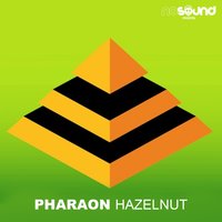No Rule in This World - PHARAON
