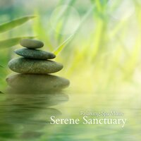 Gentle Stream - Relaxing Spa Music
