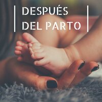 Curar el Insomnio - Embarazo Feliz