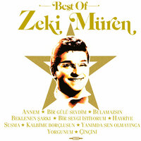 Bir Sevgi İstiyorum - Zeki Müren