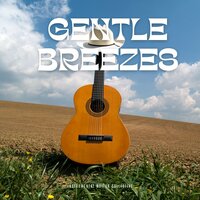 Calm Acoustic Guitar - Instrumental Guitar Collective