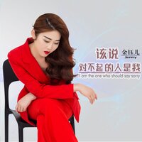 该说对不起的人是我 - 金钰儿