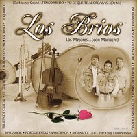 Si Volvieras A Mi - Los Brios