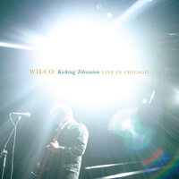 Muzzle of Bees - Wilco