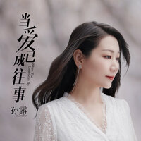当爱已成往事 - 孙露