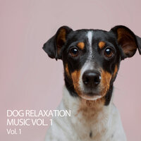 Hotel Spa Trip - Music for Dog's Ears & Dog Music & Dog Music Experience