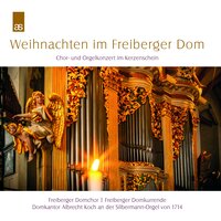 Dein König, Zion, kommt zu dir - Albrecht Koch & Freiberger Domkurrende