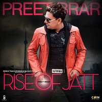 Collage - Preet Brar