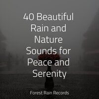 Rolling Forest Rains - Amazing Spa Music & Tranquil Music Sounds of Nature & Internal Yoga