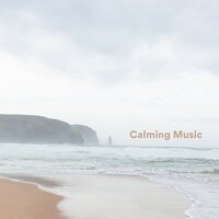 In the Air - Music for Sleeping Deeply & #Calmante & Stress Relief Helper