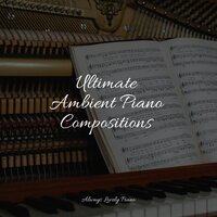 Vitamins - PianoDreams & Piano Relaxation Maestro & Piano Bar Music Specialists