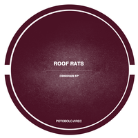 Obsidian - Roof Rats