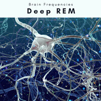 Pure Mindfulness Sounds for Deep REM Phase - Chakra Waves