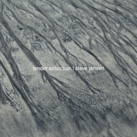 Memory Of An Imagined Place - Steve Jansen