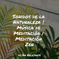Pura Felicidad - Canciones Infantiles Para Niños & Musica Para Niños & Academia de Meditação Buddha