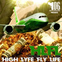 Type Of Girl I Like - High Lyfe Fly Life & Que