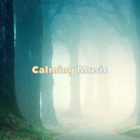 Country Morning - Peaceful Music & Calming Music and Soothing Music Masters