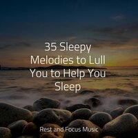 Sunny Dreams - Meditative Music Guru & Study Power & Alpha Waves