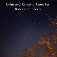Wellness Spa - Sleep Music & Miracle Tones & Calm music