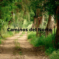 Pasos Lentos - Caminante