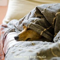 Letting Things Go - Music for Leaving Dogs Home Alone & Music for Calming Dogs & Sleepy Dogs