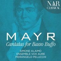 Il secol d'oro: No. 3, Cerchi fama ed onor? - Ensemble Vox Aurae & Pierangelo Pelucchi & Simone Alaimo