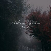 Crackling Campfire - Shakuhachi Sakano & Relaxing music & Thunder Storm