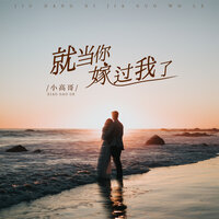 就当你嫁过我了 - 小高哥