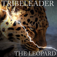 SHARK - Tribeleader