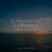 Navegando En La Nube - Sonidos de la Naturaleza para Dormir & Sueño Lucido & Masaje Tantrico Musica Colección