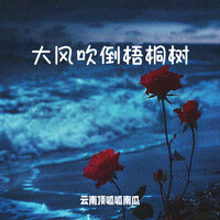 大风吹倒梧桐树 - 云南顶呱呱南瓜