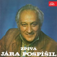 Úsměv váš je vzdálený - Jára Pospíšil
