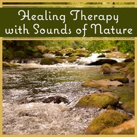 Bird Chorus for Massage & Relaxation - Nature Sounds Paradise