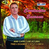 Oare M-a-Nselat Nevasta? - Constantin Enceanu