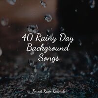 Bonfire in the Forest - Rain Sounds Collection & Active Baby Music Workshop & Spa