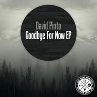 Lack of Statistics - David Pinto