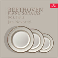 Piano Sonata No. 7 in D Major, Op. 10 No. 3: II. Largo e mesto - Jan Novotny & Ludwig van Beethoven