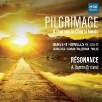 Requiem: VI. I Heard a Voice from Heaven - Resonance