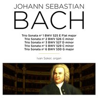 Organ Sonata No.5 in C Major, BWV 529: II. Largo - Ivan Sokol & Johann Sebastian Bach