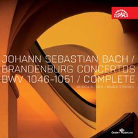Brandenburg Concerto No. 5 in D Major, BWV 1050: II. Affetuoso - Marek Štryncl & Musica Florea & Johann Sebastian Bach