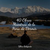 Hojas Y Brotes - Ambiente & Canciones De Cuna Para Dormir Bebes & Naturaleza