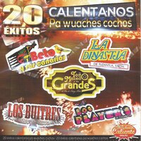 Si la Vida Pidieras - Tierra Caliente Music