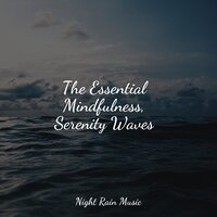 Forest Ambience, Strong Wind, Rain - Sounds of Nature: Thunderstorm, Rain & Ambient Rain & Meditação Yoga